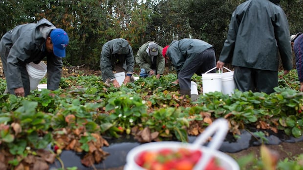 Migrant worker calls proposed spike in housing cost payroll deduction ‘wickedness’